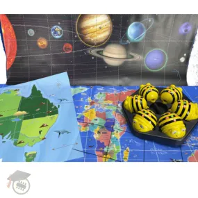 Bee-Bot Bundle - Explore and Discover
