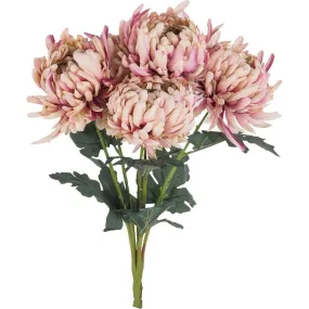 Blume Blush Chrysanthemum Bunch x5 52cm