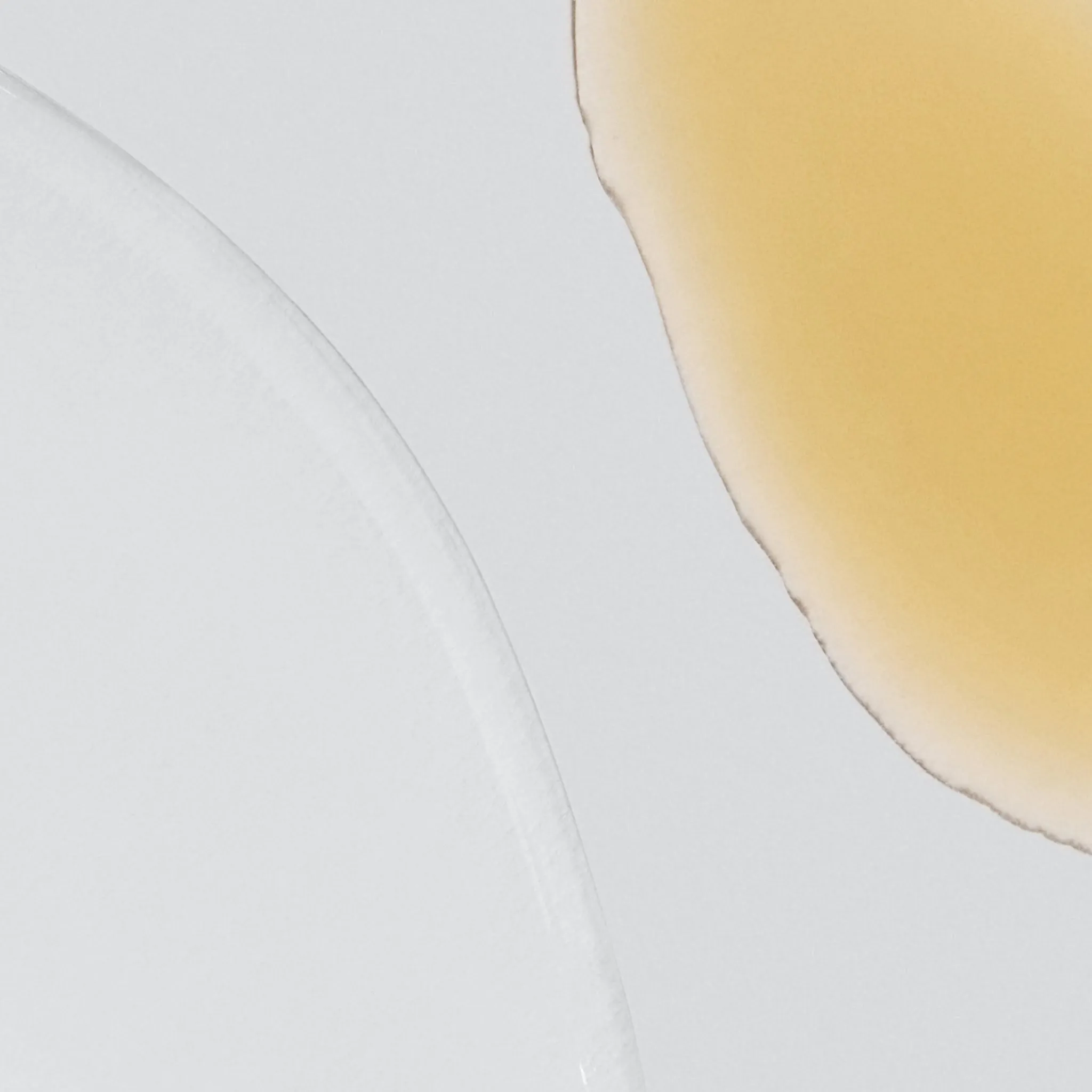 phyto nature firming serum